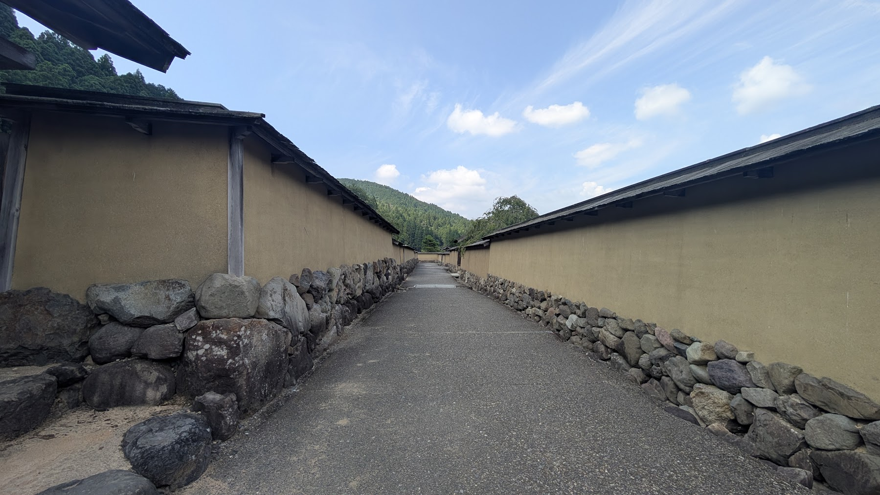 三つの時間を旅する福井—戦国城下町、恐竜、そして禅